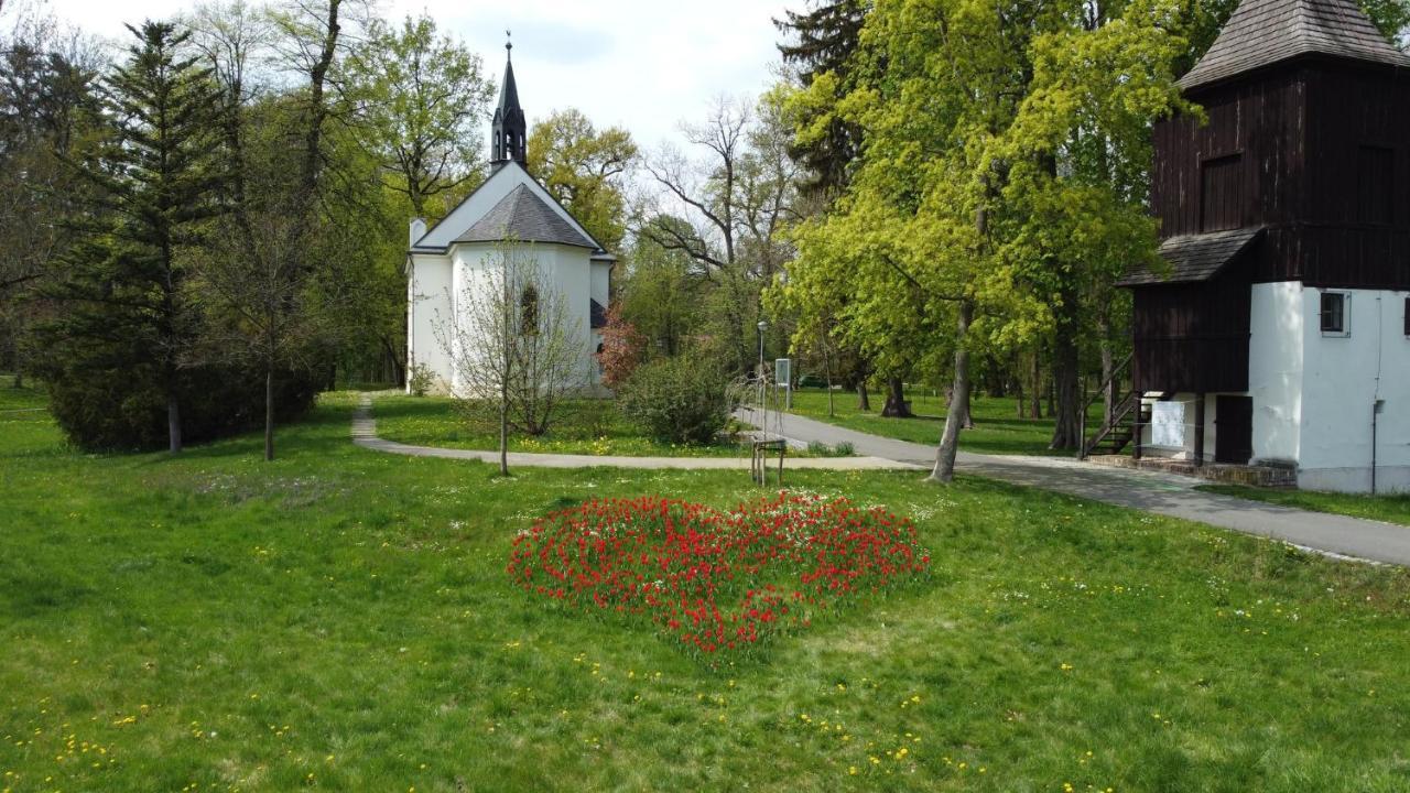 Homestay Podebrady Exterior photo