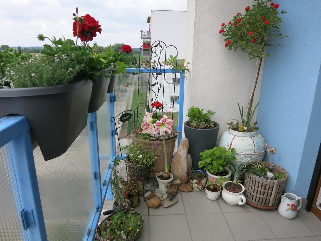 Homestay Podebrady Exterior photo