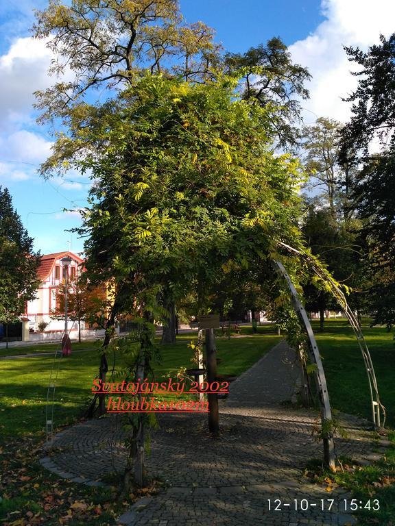 Homestay Podebrady Exterior photo